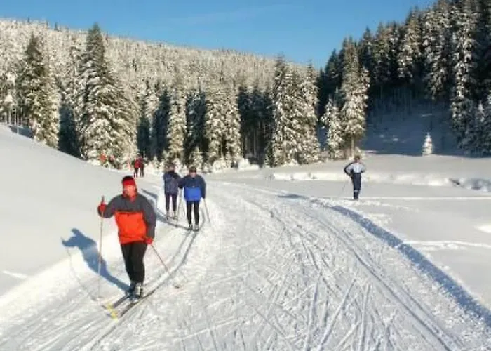 U Semushky By Interhome 公寓 *